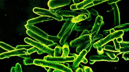 Ученые добились крупного прорыва в борьбе с туберкулезом