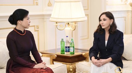 Встреча Мехрибан Алиевой с супругой генсека Вьетнама
