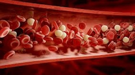 Ölkədə talassemiya diaqnozu ilə doğulan uşaqların sayı açıqlanıb