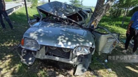 В Шабране автомобиль врезался в дерево, погибли братья