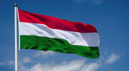 Венгрия отложила важные переговоры с Украиной