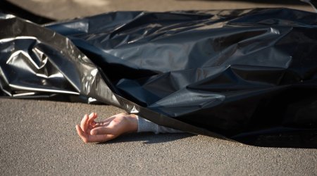 В Гёйчае мужчина погиб, упав с дерева