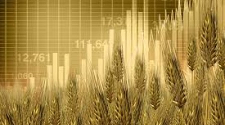 Wheat prices hit a nine-month low on improved crop outlook
