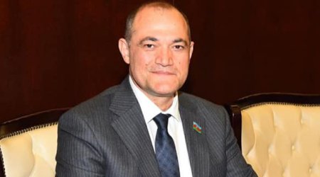 Bu cür dələduzların sayı artır - Deputat