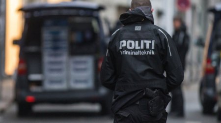 Полиция Дании принудительно вывела из офиса Maersk Tanker Тунберг и экоактивистов