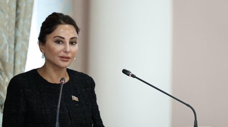Vicdansız sözünün qanunda istifadəsində bir problem yoxdur - Deputat