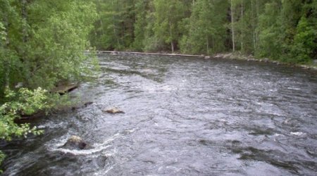 Уровень воды в реках Азербайджана стремительно растет