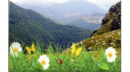 Прогноз погоды на 18 мая: дожди, грозы и умеренный ветер