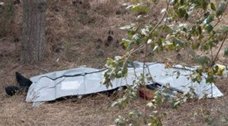 Tut yığmaq üçün ağaca çıxan kişi yıxılaraq ölüb