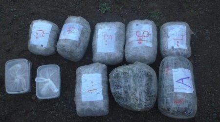 Полиция Казахстана изъяла 83 ведра марихуаны из жилого дома