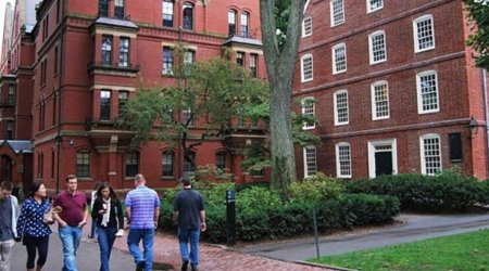 Иностранные студенты Гарварда в тревоге из-за Трампа