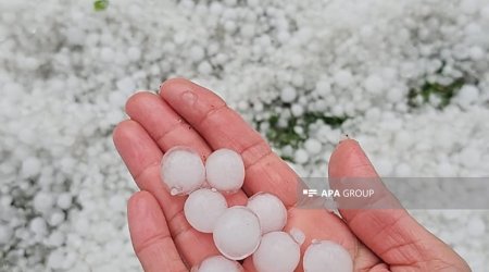 Zaqatalaya dolu yağıb
