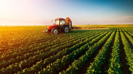 Azerbaijan boosts agricultural spending by 27% over five years