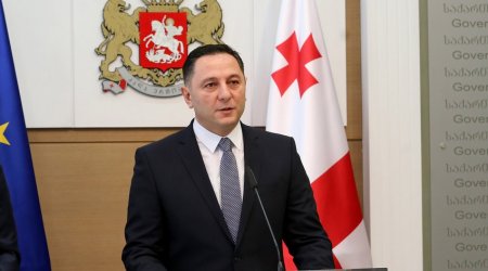 Gürcüstanın daxili işlər naziri istefa verib