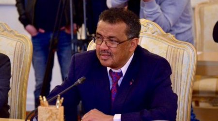 Глава ВОЗ порекомендовал запретить ароматизаторы в табачных изделиях