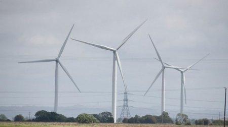 В Германии из-за ветра рухнули цены на электроэнергию