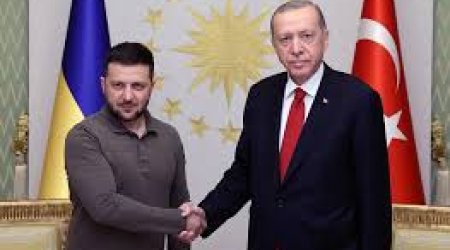 Ərdoğan və Zelenski arasında telefon danışığı olub
