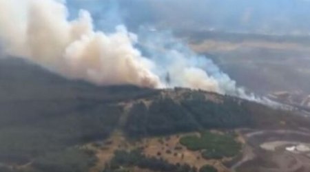 В Измире к тушению лесного пожара привлечены семь вертолетов