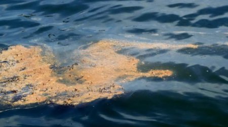 В порту Санкт-Петербурга произошел разлив нефтепродуктов