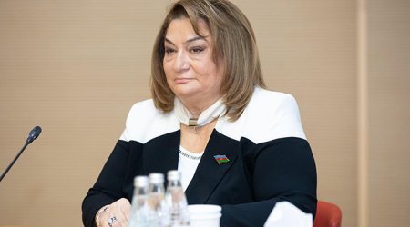 Mərkəzləşmiş istilik sisteminin məcbur olması yaxşı nəticələr yaradacaq - Deputat
