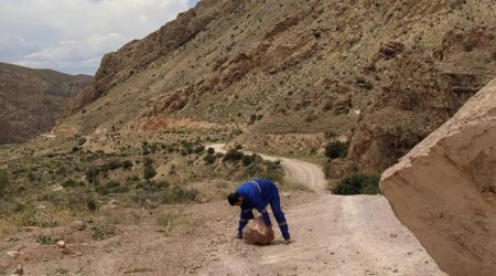 Şərurun kənd yolunda qaya uçqunu olub
