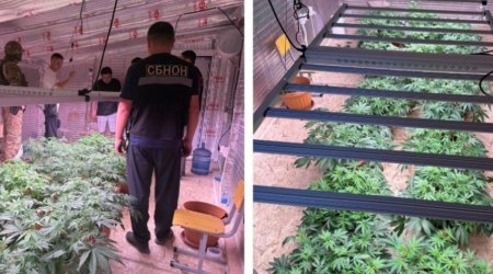 В Бишкеке выявлена нарколаборатория под прикрытием частного детсада