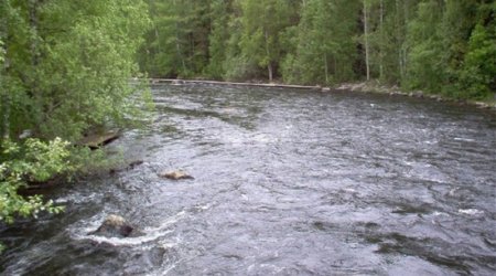 В реках Азербайджана зафиксирован рост уровня воды из-за проливных дождей