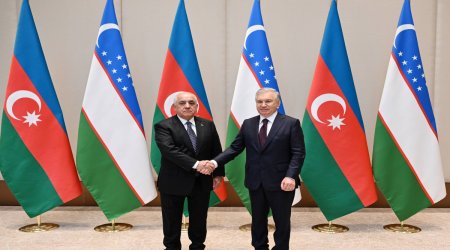 Əli Əsədov Özbəkistan Prezidenti ilə görüşüb