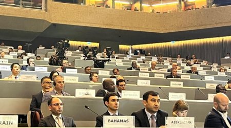FHN-in nümayəndəsi BMT-nin Fəlakət Riskinin Azaldılması Ofisinin sessiyasında iştirak etdi