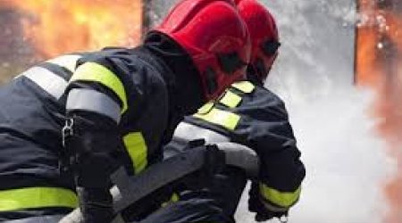 В Сальянском районе на ферме произошел пожар: погибли 45 голов скота