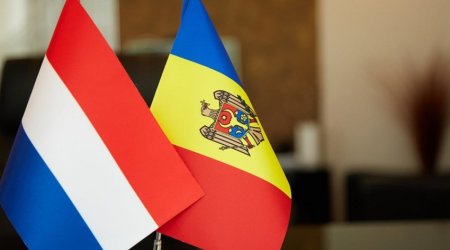 Нидерланды выделят 1,5 млн евро на укрепление демократии в Молдове