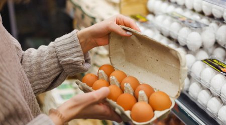 Azərbaycanda yumurta istehsalı artıb