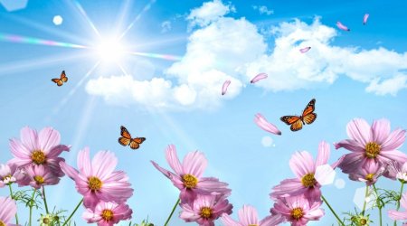 Погода на завтра: В Азербайджане ожидается до 36 градусов тепла