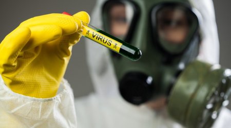 Çində iki yeni virus aşkarlanıb