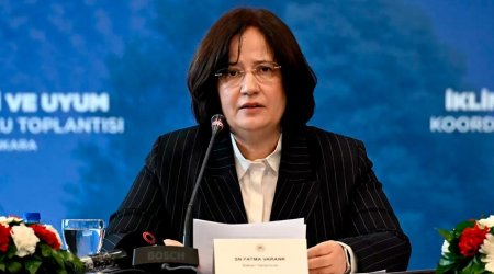 Кандидатура Антальи выдвинута для проведения COP-31