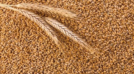 Армения запретила экспорт зерновых