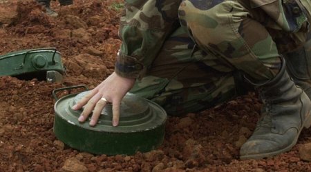 Польша снимает запрет на использование противопехотных мин