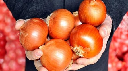 AQTA Rusiyadan gətirilən 639 ton soğanı məhv edib - Səbəb