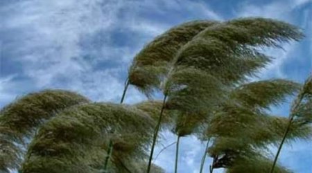 В Азербайджане с завтрашнего дня усилится ветер