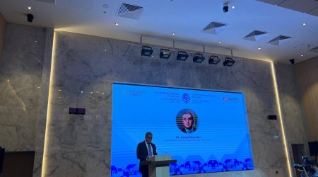 Ələt Azad İqtisadi Zonasında yeni fabriklər açılır, investor axını artır — Manafov
