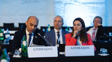 ПА ОБСЕ призывает помочь Азербайджану