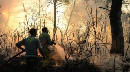 Türkiyədə meşə yanğınları ilə bağlı 44 şübhəli saxlanılıb