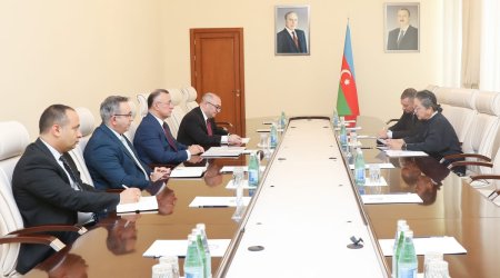Делегация ООН пришла и в Минздрав Азербайджана
