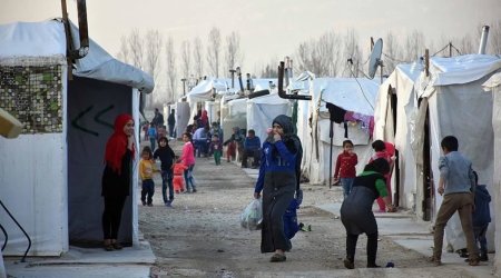 Германия возобновит депортацию сирийцев
