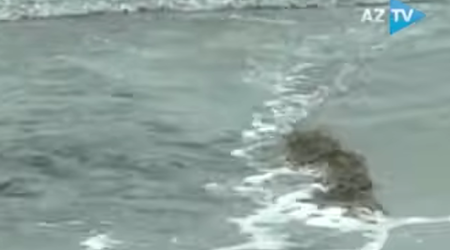 Sewage water discharged directly into Caspian Sea at Baku’s Buzovna beach
