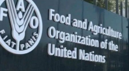 Узбекистан впервые избран в Совет FAO