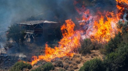 Türkiyədə meşə yanır