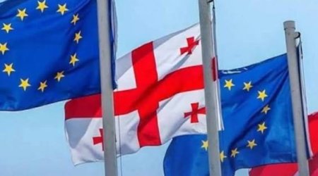 Грузия резко раскритиковала резолюцию Европарламента