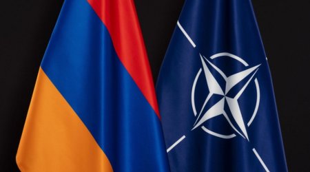 В Ереване обсуждены вопросы сотрудничества Армении с НАТО