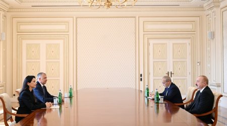 Əliyev Gürcüstanın iqtisadiyyat və davamlı inkişaf nazirini qəbul edib